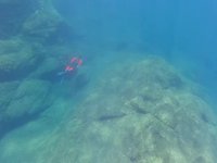 20220607-1126-000.webm