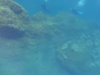 20220607-1146-000.webm