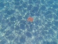 20220607-1159-000.webm