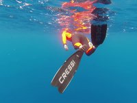 20220608-1504-000.webm