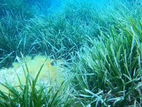 20230529-135256.webm