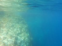 20230530-183940.webm