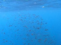 20230601-145000.webm