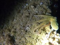 20230603-011612.webm