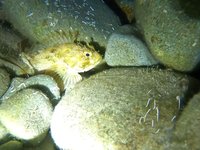 20230603-012050.webm