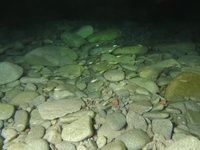 20230604-221220.webm