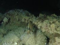 20230604-223234.webm