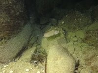 20230604-223658.webm