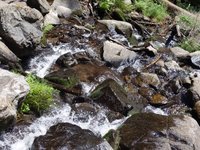 PXL_20230711_100136572.webm