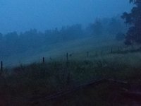 PXL_20230711_192552281.webm