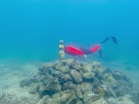 20230825_114008_194_1692959997385_slowmotion.s.webm