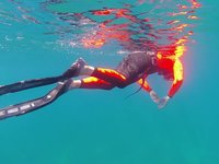 20230825_115812_207_1692959885323_slowmotion.s.webm