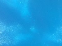 20230826_121617.webm