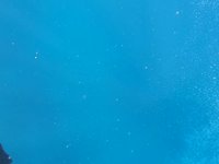 20230826_124641.webm