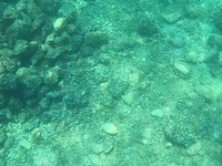 20230826_130044.webm