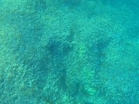 20230826_175517.webm