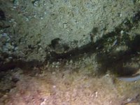 20230827_211150.webm