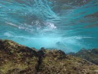 20230828_111548_434_1693217741901_slowmotion.s.webm