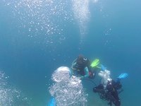 20230828_113842_449_1693217703705_slowmotion.s.webm