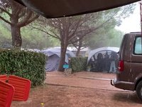 20230829_080248.webm