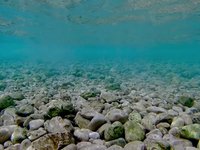 20230829_134912_460_1693316764121_slowmotion.s.webm