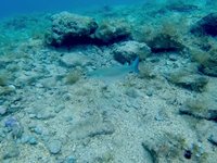 20230829_135704_468_1693316711105_video.s.webm