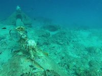 20230831_135247.webm