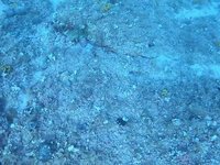 20230831_135256.webm