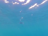 20240824_171524.webm