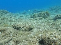 20240826_172515.webm